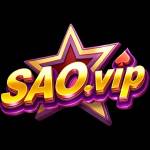 SAOVIP VIP Profile Picture