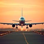 Brook Thomas Profile Picture