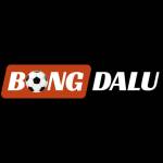 Bongdalu school Profile Picture