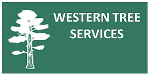 Tree Removal Companies North Vancouver | Western Tree Services
