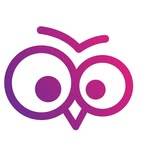 cv owl Profile Picture