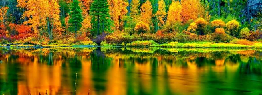 Lily Anderson Cover Image