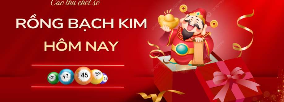 Rồng Bạch Kim 247 Cover Image