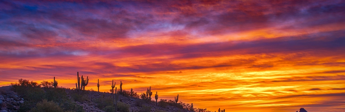 Pima Behavioral Health Cover Image