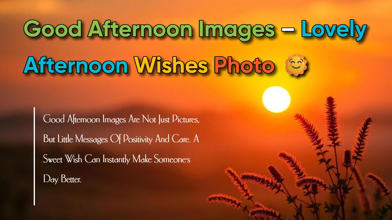 499+ Good Afternoon Images: Perfect Pics to Share On WP & IG