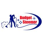 Budget Steemer Profile Picture