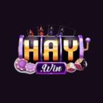 haywin de com Profile Picture