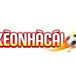 keonhacai55 tips Profile Picture