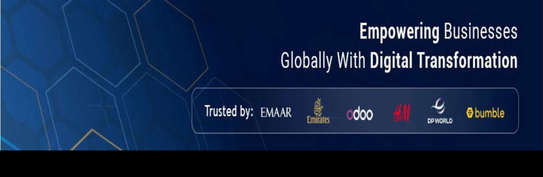 Junkies Coder Cover Image