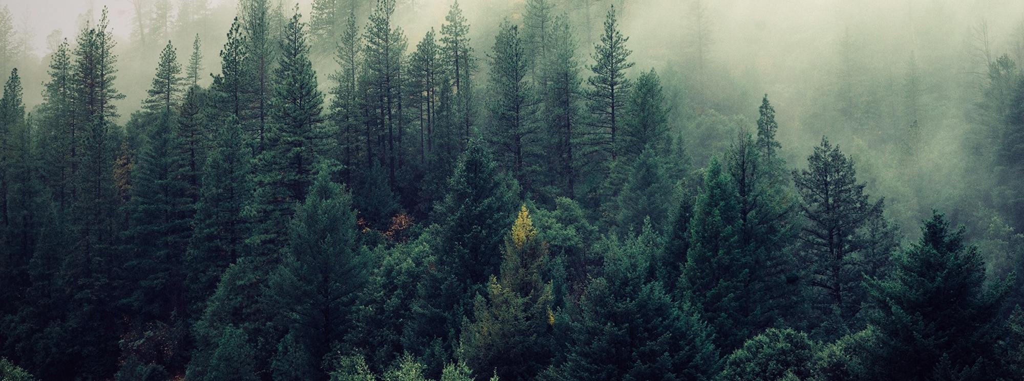 Best Trade Show Booth Display Company - Foster Display Group