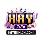 Haywin Link Vào Cổng Game Bài Đổi Thưởng Hay Win Chính Thức Profile Picture