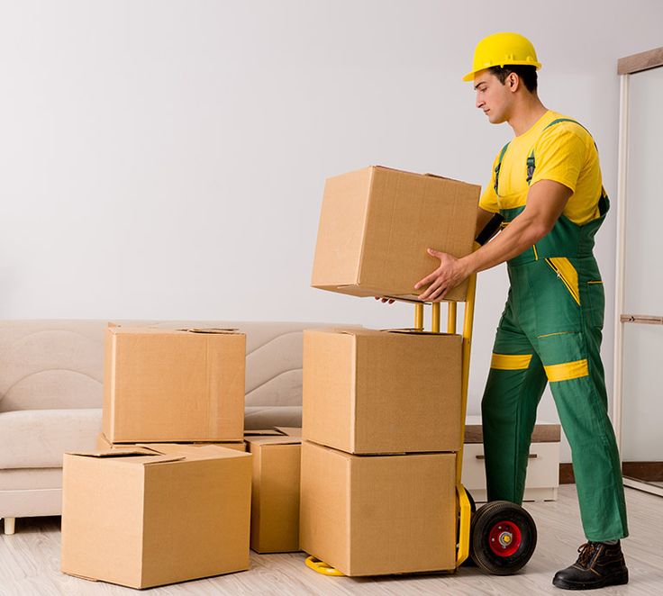 Packers and Movers in Kathog