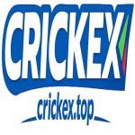 Crickex Online Casino Bangladesh Profile Picture