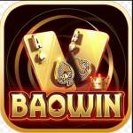 Baowin Cổng Game Bài Đổi Thưởng Profile Picture