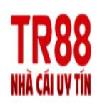TR88 66me Profile Picture