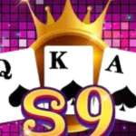 S9s9 id Profile Picture