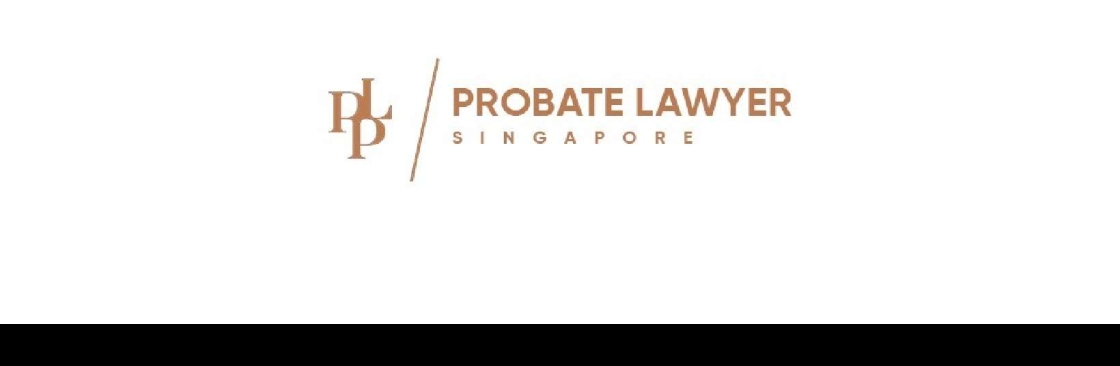 Singapore Lawyer Cover Image