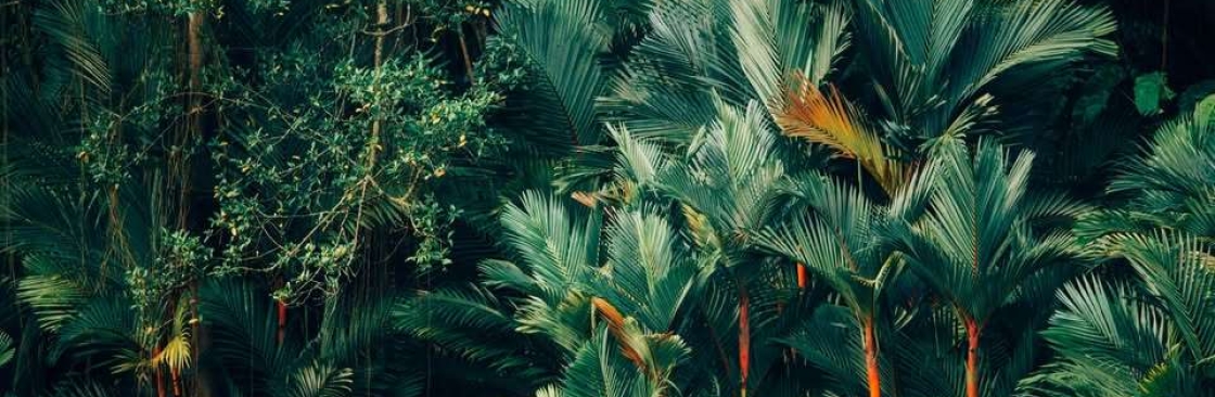 FlowState Therapy Cover Image