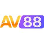 AV88 net Profile Picture