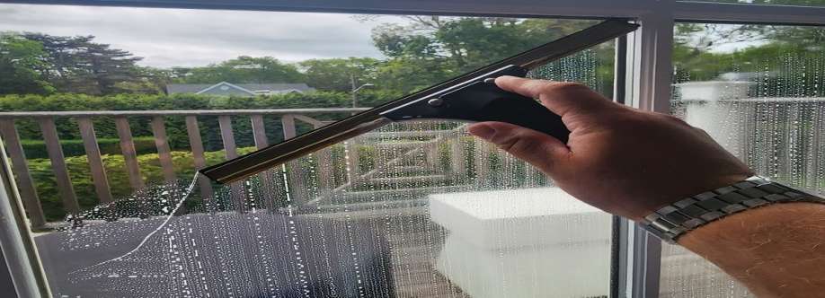 Picture Perfect Window Cleaning LIGHTS Cover Image