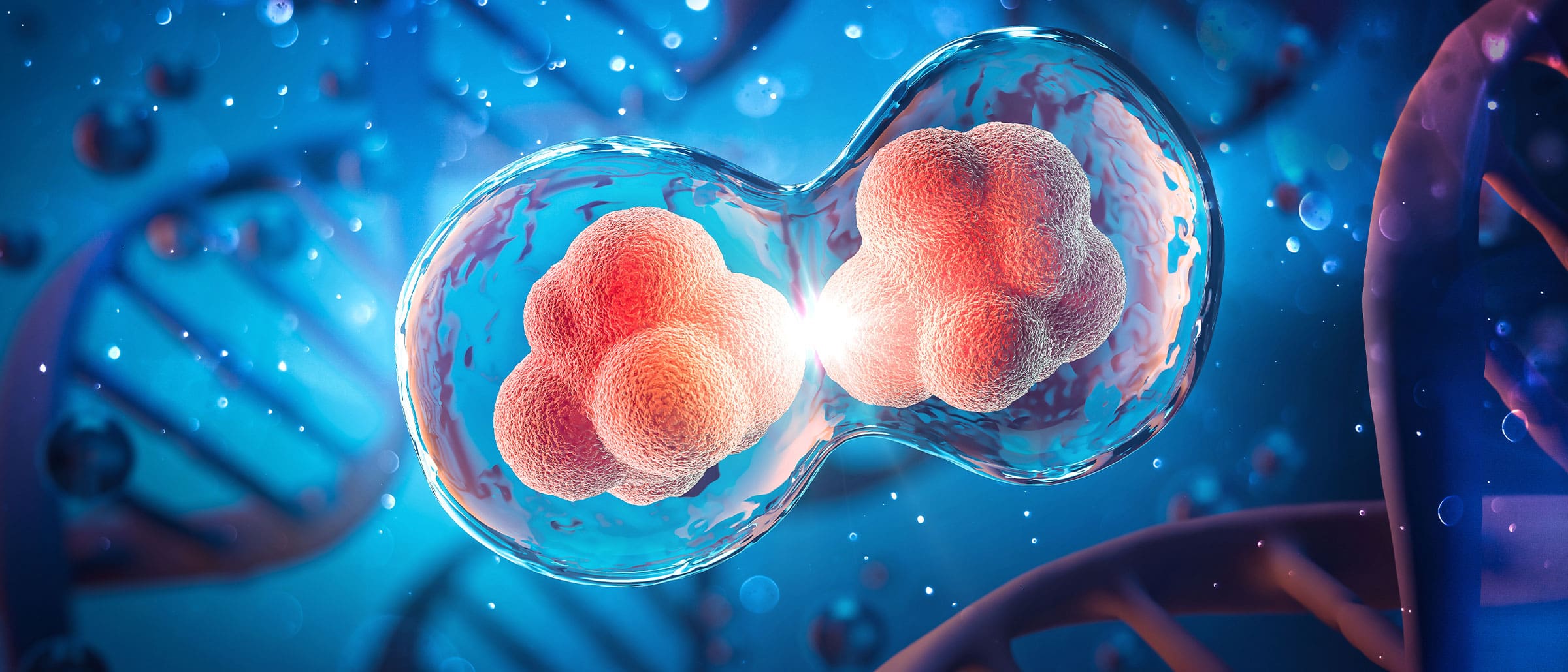 Biotech Executive Recruiters | Legal & Compliance Search