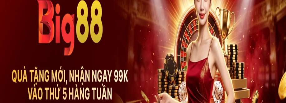 BIG88E ORG Cover Image