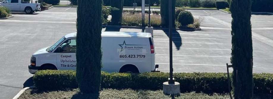 Steam Action Carpet Cleaning Cover Image