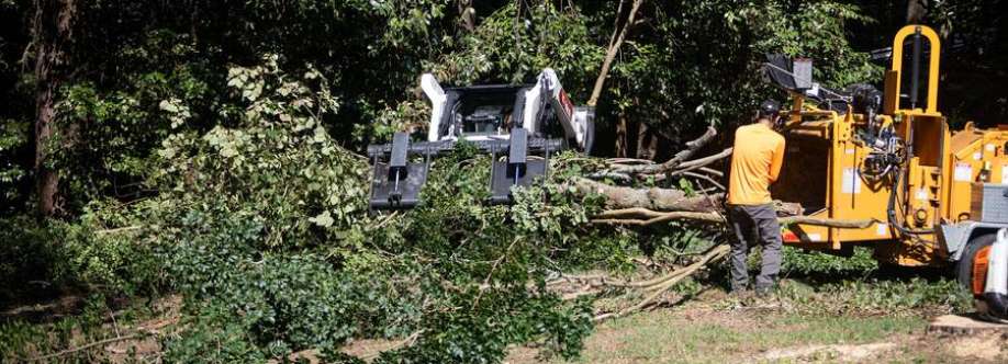 Driscoll Tree Service Cover Image