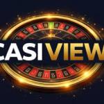 casiviewaus . Profile Picture
