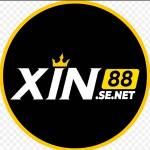 xin88 kkgn Profile Picture