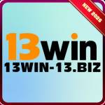 13win 13biz Profile Picture