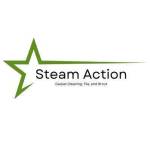 Steam Action Carpet Cleaning Profile Picture
