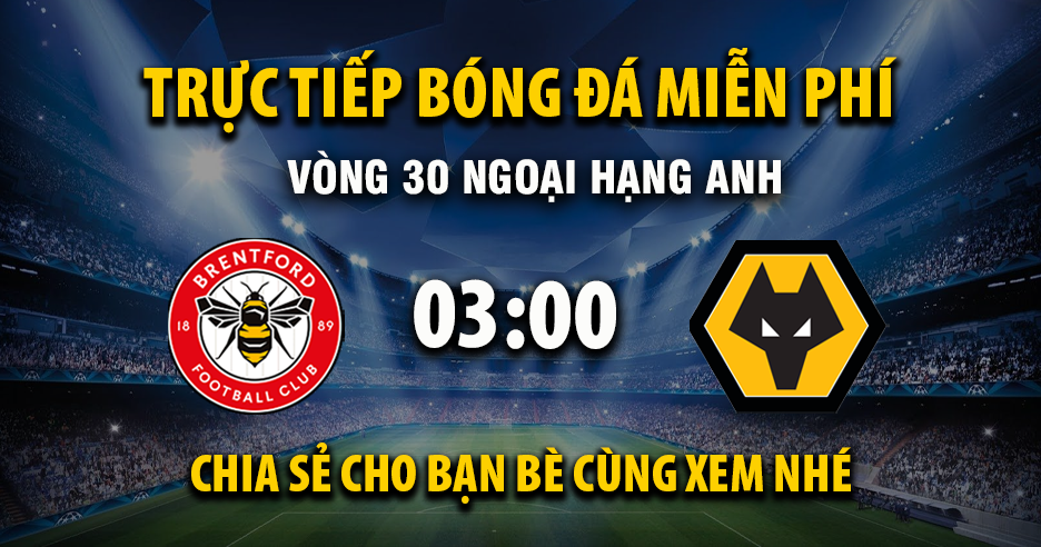 Link trực tiếp Brentford vs Wolverhampton 03:00, ngày 17/03 - Xoilac365.tv