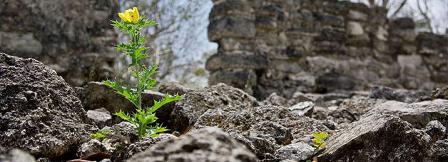 Barbara Heywood Cover Image