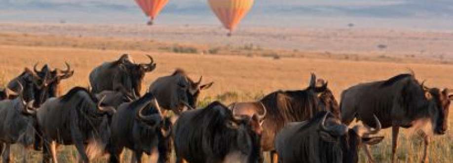 professional House Karen C Nairobi Cover Image