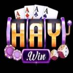 Haywin Nền tảng game trực tuyến Profile Picture