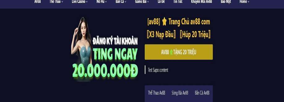 AV88 net Cover Image