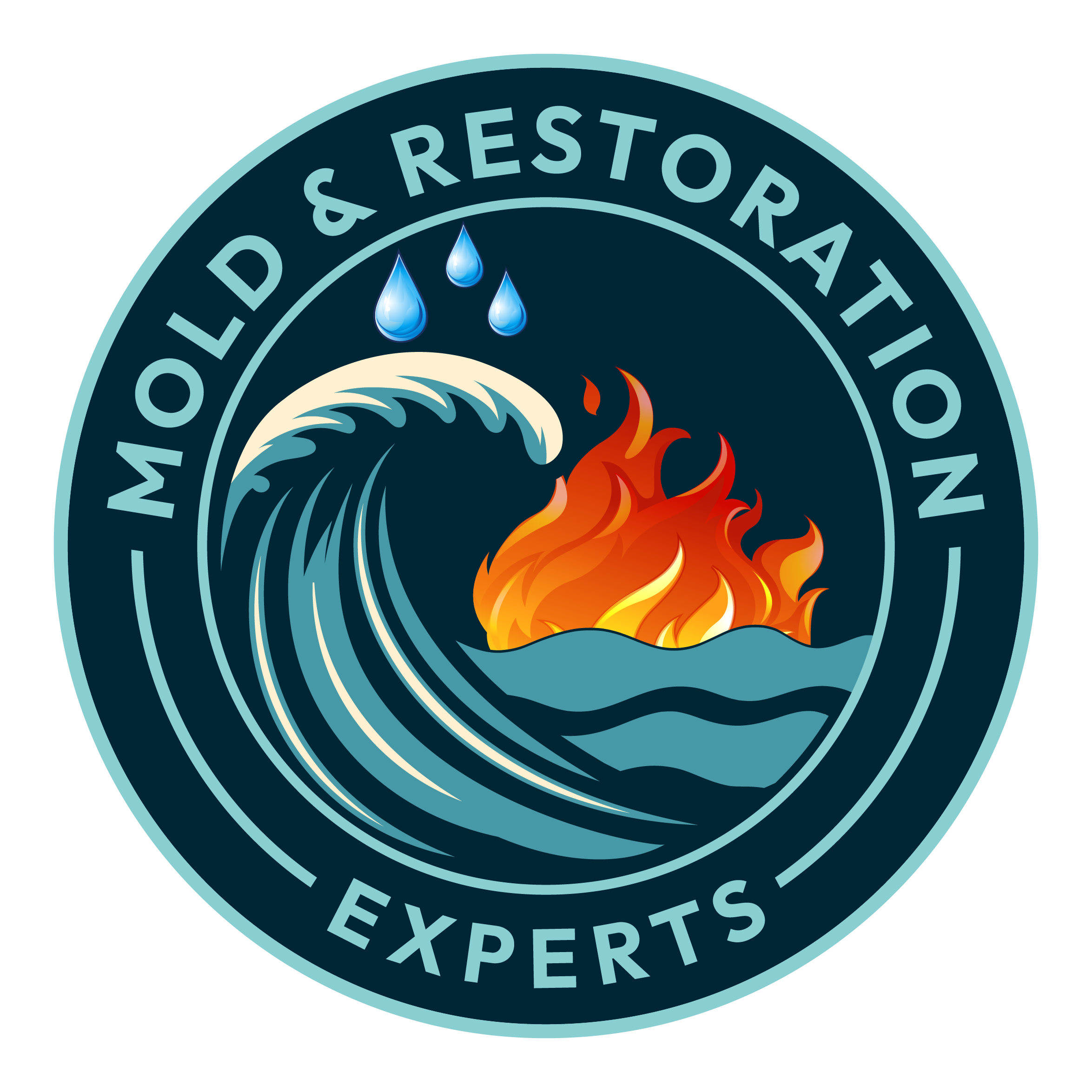 Mold Remediation and Removal Services in Tampa, FL