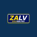 Zalv888 pro Profile Picture