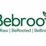 bebroot bebroot Profile Picture