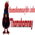 thomohomnay blvinfo Profile Picture