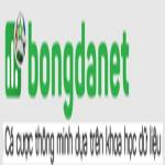 BongdaNET Org Profile Picture