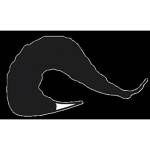 Stark and Bold Profile Picture