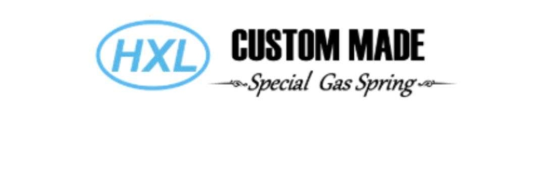 HXL Gas Springs Co Ltd Cover Image