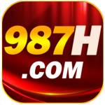 987h org Profile Picture