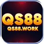 Qs88 Work Profile Picture
