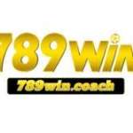 789win  nền tảng giải trí trực tuyến Profile Picture