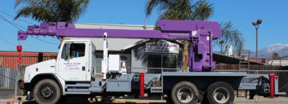 Purple Crane Services Inc Cover Image