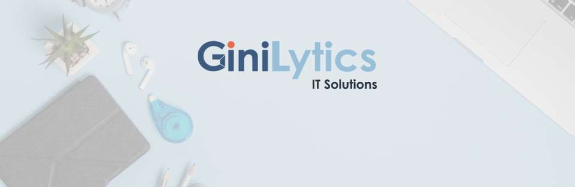 GiniLytics IT Solutions Cover Image