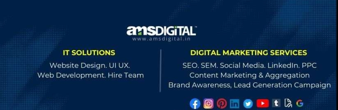 AMS Digital Cover Image